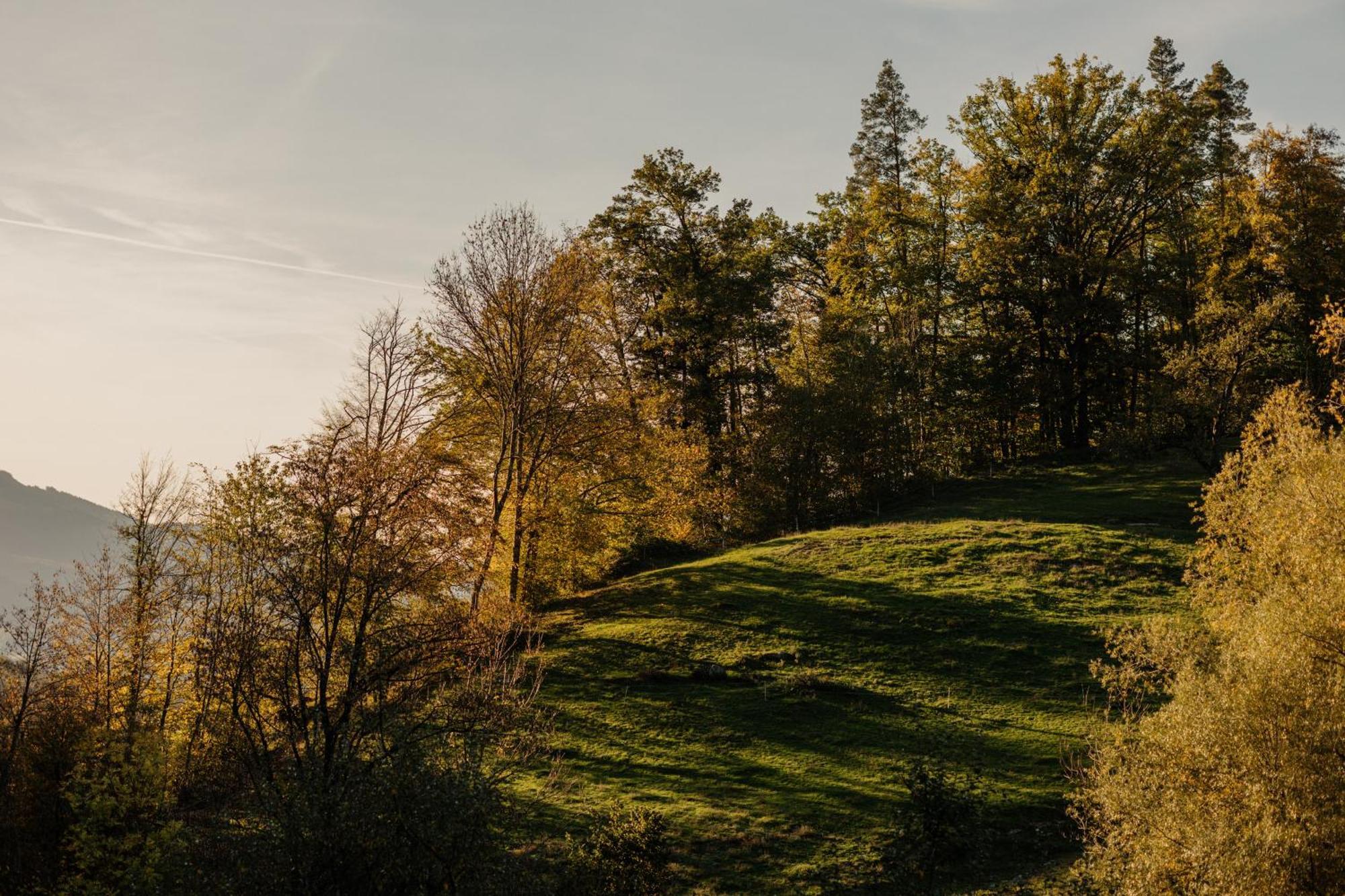 Bildungshaus Arbogast Hotell Götzis Exteriör bild